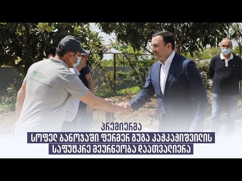 პრემიერმა სოფელ ბანოჯაში ფერმერ გუგა კაჭკაჭიშვილის საფუტკრე მეურნეობა დაათვალიერა